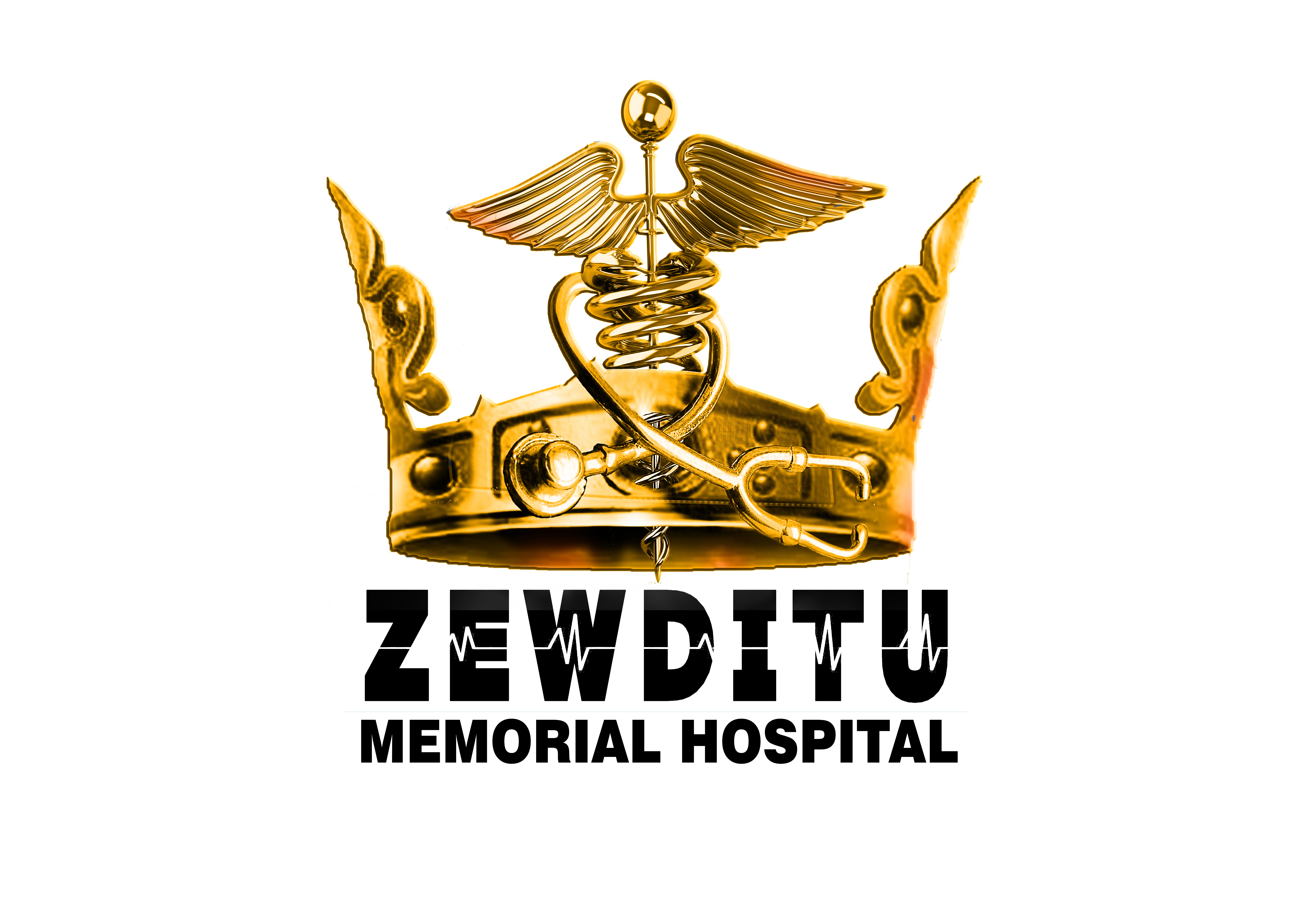 Zewditu Memorial Hospital
